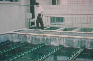 青岛潮海电镀废水处理工程